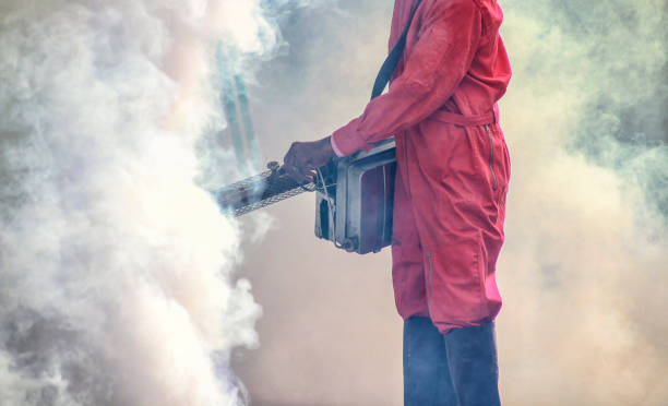 pest control Adelaide